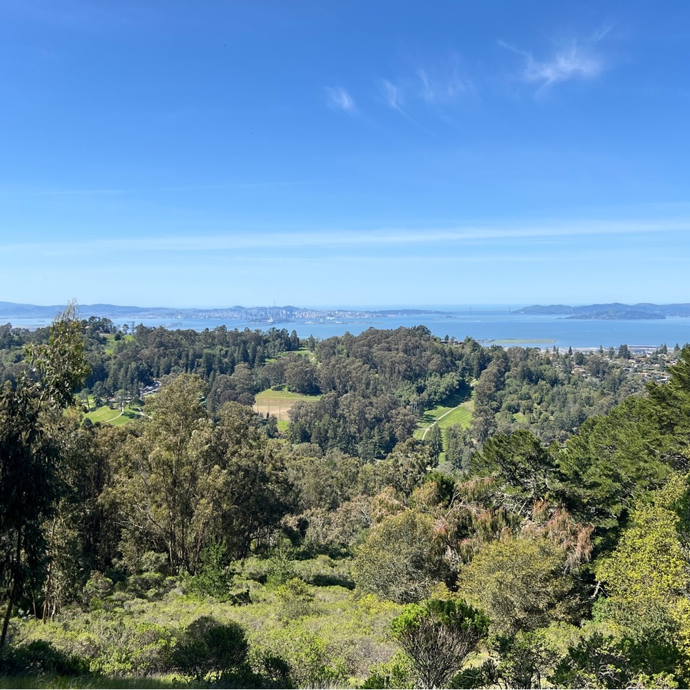 Meet your Posher, Alison